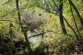 slov06447.jpg