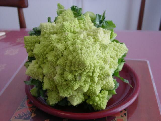 Cauliflower-3_640.jpg