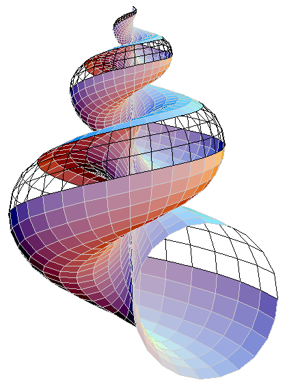seashell.png